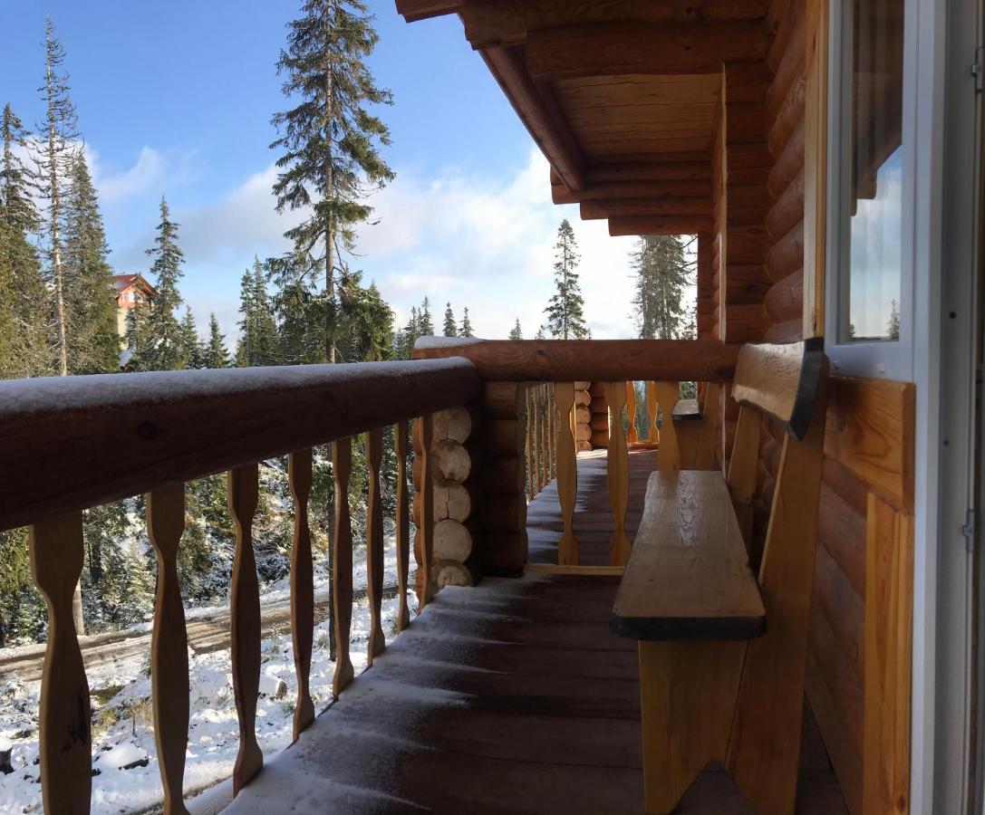 Alpin Eco Chalet & Wellness Dragobrat Exterior foto